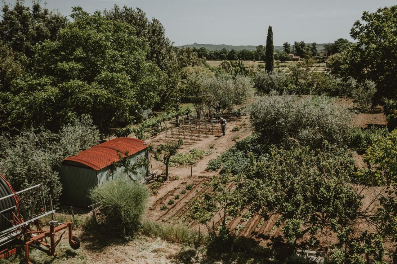 Agriturismo Cerqueto アックアペンデンテ エクステリア 写真