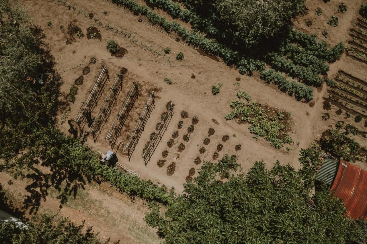 Agriturismo Cerqueto アックアペンデンテ エクステリア 写真