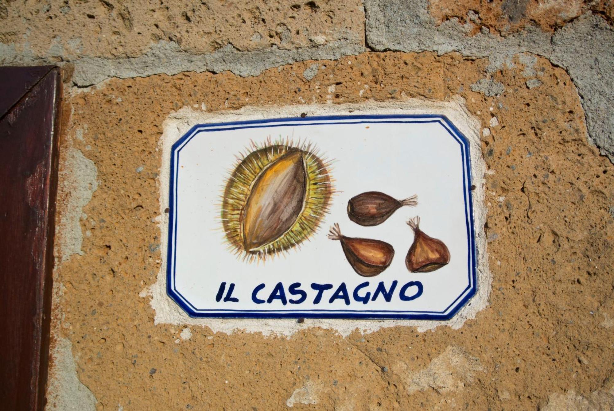 Agriturismo Cerqueto アックアペンデンテ 部屋 写真